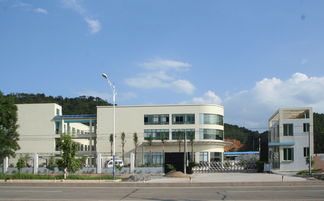 匠心獨運，木藝生輝 探訪高要市白土鎮潤和工藝品加工廠與鼎龍木業