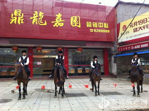 歡樂(lè)五一，來(lái)鼎龍嘉園免費(fèi)騎馬玩?。埬緲I(yè)邀您共度佳節(jié)